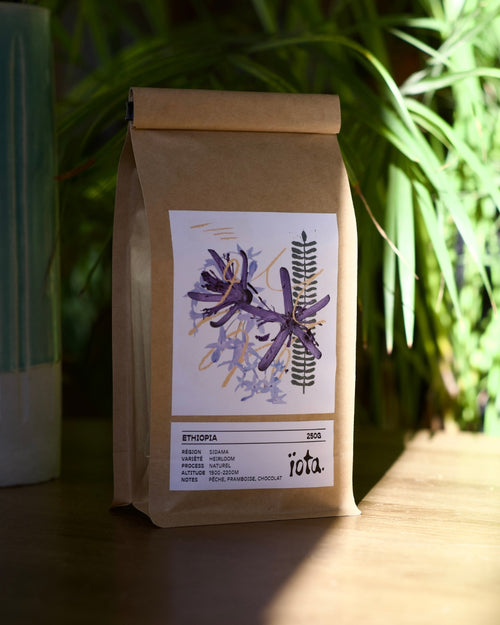 Café de spécialité Éthiopie 250 g – torréfié à Gordes par ïota
